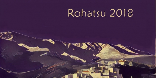 Rohatsu_2018_slide